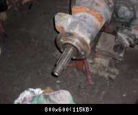 image_id: 1955
