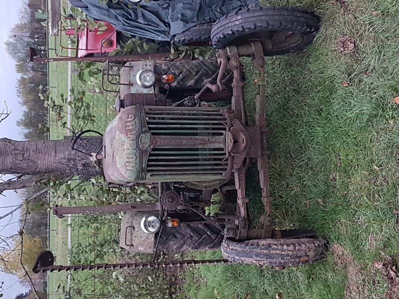 20201102_165220.jpg