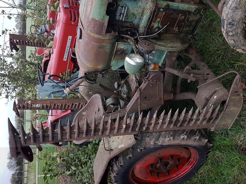 20201102_165253.jpg
