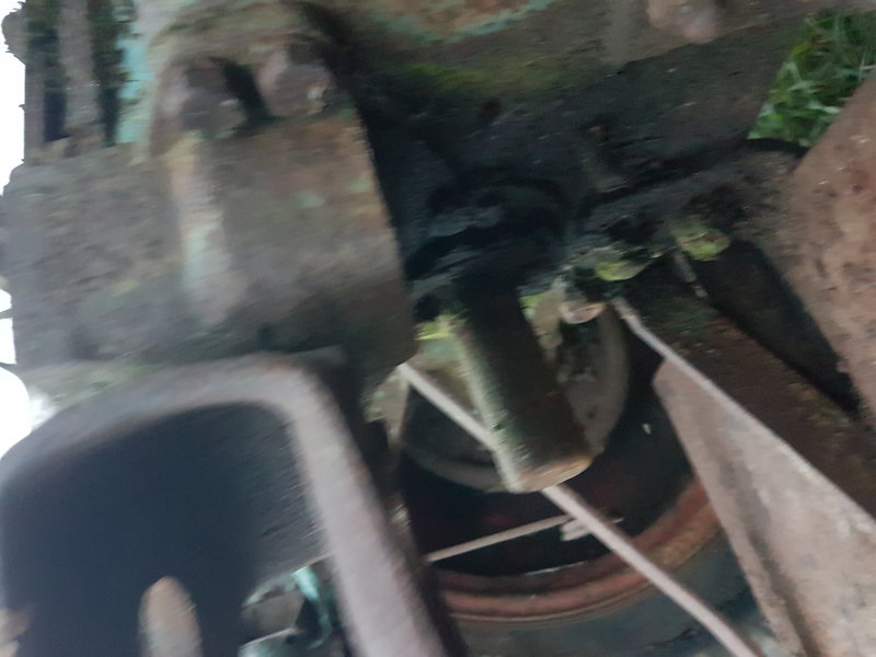 20201102_165354.jpg