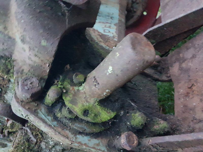20201102_165403.jpg